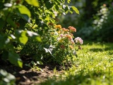 En juillet ce coin du jardin va devenir méconnaissable, et pourtant rien n’a été planté depuis avril