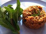 Riz d’été à l’aubergine