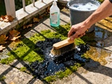 Seul geste en octobre pour éviter la mousse sur la terrasse tout l’hiver