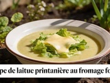 Soupe de laitue printanière au fromage fondu : la recette inattendue qui transforme les premières feuilles du jardin