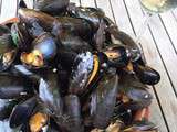 Moules en persillade à la plancha