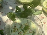 Soupe froide de courgettes à la menthe