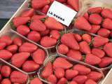 Fraise, le fruit du printemps