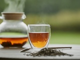 Découverte des thés et infusions 100% plantes : une expérience sensorielle unique