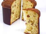 Du Panettone (sur Levain Pâteux)