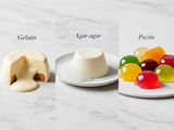 Gélatine vs Agar-Agar vs Pectine : différences, dosages et remplacements (guide complet)