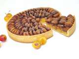 Tarte aux Mirabelles