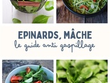 Comment conserver mâche, épinards et herbes fraîches plus longtemps en hiver