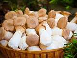 Comment préparer les champignons