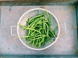 Haricots verts