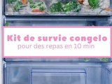 Kit de survie du congélateur pour un dîner en 10 min chrono
