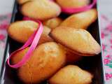 Premières madeleines, avec ancel