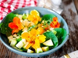 Salade de capucines