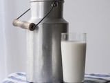 Tout savoir sur le lait ribot