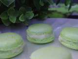 Macarons chocolat blanc et menthe fraiche