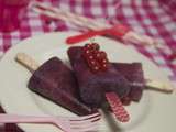 Popsicles myrtilles, groseilles et cramberries