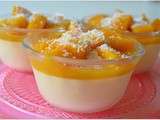 Mousse mangue passion