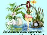 Bonjour les amis