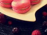 Macarons aux fruits rouges ( avec ou sans thermomix )