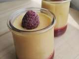 Mousse de mangue sur coulis framboise