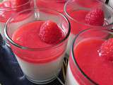 Panna cotta au lait de coco et framboises