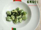 Gnudi