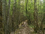 Randonnée dans le Haut-Jura : Roche-Blanche et cascades du Flumen