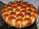 Danubio napolitain, brioche rustique