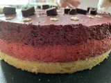 Entremet à mousse framboise et mousse myrtilles