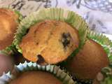 Muffins aux myrtilles et au chocolat