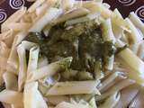 Penne rigate au pesto et parmesan