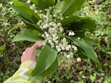 Premier Mai et son cœur de muguet