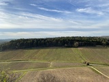 Randonnée dans les vignes