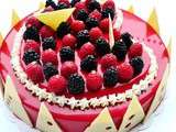 Entremet Citron Framboises Miroir Rouge Rubis