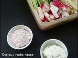 Dip aux radis roses et dip aux herbes du jardin