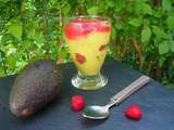 Mousse d’Avocats aux Framboises | Mes Inspirations Gourmandes