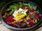 Salade de Jeunes Pousses, Betterave Crue, Oeuf Mollet