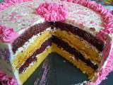 Layer cake noix de coco, chocolat