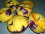 Muffins aux myrtilles