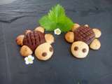 Biscuits en forme de tortue (companion ou pas)