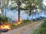 Brocéliande en feu