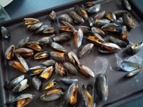 Cuire des moules au four