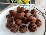 Fondant au chocolat (recette monsieur cuisine)