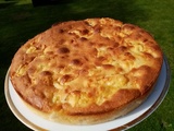 Gâteau aux pommes et noix de coco