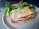 Lasagnes aux courgettes et à la bolognaise au cookéo