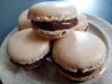 Macarons ganache praliné