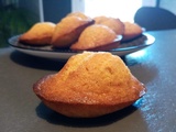 Madeleines au miel cuisson rapide (Christophe Felder)