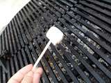 Marshmallows grillés (guimauve, chamallows)