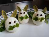 Oeufs petits lapins