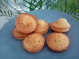 Pain de gênes au companion (avec poudre d'amandes)